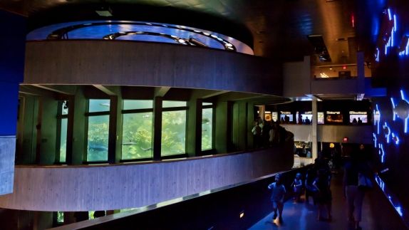 Boston Seaport District Hotels Element Boston Seaport District Hotels New England Aquarium